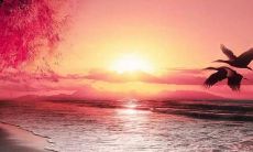 无尽痛苦：描述极度悲伤和心痛的句子