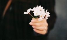 表达感激和回馈之情的感恩句子，再次感谢造福自己的美好缘分！