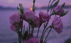 探讨人类多元的孤独感，创作一个充满深意的个性化签名