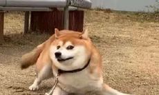 汇总：有趣又沙雕的群聊头衔，让你欢笑不断！