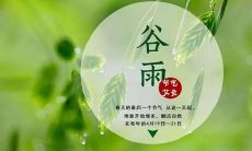 【谷雨节气来临，让我们分享感悟】今天谷雨，分享一下你对这个节气的感悟和体会吧！