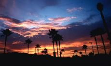 情感丰富，含甜蜜与痛苦，带有重重情感共鸣的爱情句子集合