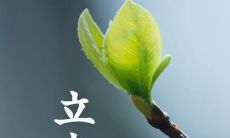 一组优美句子描绘万物初醒的立春美景