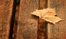 集结市场经典之作——精选一句话经典语录第一期，让你重拾生活的智慧与动力！