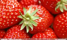 享受开心快乐的一天，让每个瞬间都充满喜悦和幸福的简短句子