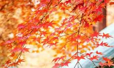 发动机——让你每个早晨都充满正能量的微商营销策略！