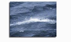 人生苦短，心酸无穷：探究那些让人感慨万千，伤感不已的生命句子