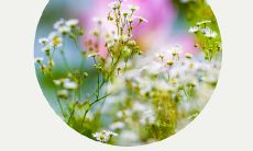 同样表达开心情感的修辞手法丰富多彩，哪些句子能巧妙地运用这些手法达到表情达意的目的？