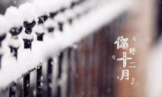 祝福语|欢庆十二月的首日，表达真挚祝福、展示感恩之心