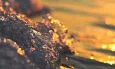 揭示现实的残酷：隐藏在幸福外表下的心酸言语