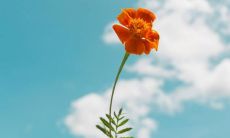 精选正在经历热烈爱情的句子，包含充满激情的文字描述