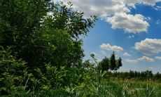 与主流不同的友情句子伤感说说：用独特的表述表达情感