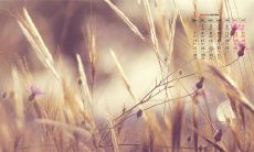 分享如何说出让女朋友开心的经典句子与技巧