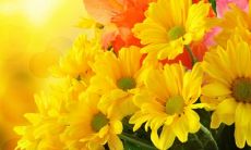 斗过苦难才会领略到幸福滋味的名言