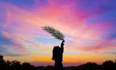 分享给好友的睡前提醒：祝你好梦，愿你明晨醒来满心欢喜、精神振奋！