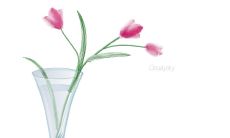 探究深邃内涵的感情抒发之句：淡然而真实的情感表白