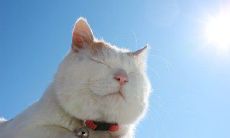 保持镇定的语言和态度：如何在紧张的情况下保持冷静？