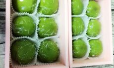 一些能够让你变得开心的、心情愉悦的句子推荐