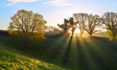 数百个激励人心、推动积极人生态度的优美句子，让你挺起胸膛，迎接挑战和成功的励志好句子大全！