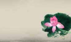 感恩生命与家庭亲情，寄托感恩之情的美妙句子