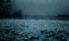 述说：哀婉感伤的句子用言语表现心境，凝聚深沉亲情之情感