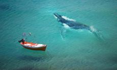 一篇温暖动人的亲情微信句子精选，让你感受家人间深情厚爱的暖意