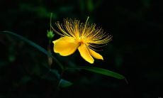 汇集充满力量的、值得玩味的坚强名言：鼓励自己，挑战极限，追求梦想