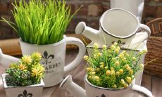 一些关于深入探讨关系与亲情之间纷繁复杂的话语