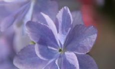 金钱胜过亲情：一个描述两者关系的长句子