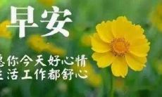 如何在清晨为朋友圈增添温馨气氛？分享适合早上发的问候语和暖心话