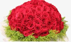 一百句表白必备，唯美浪漫的520情话大全