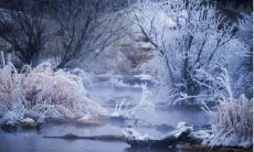 如何用精美句子表达下雪时发朋友圈的心情？