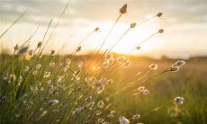 一些感人至深的关于父与子之间的亲情的表述句子