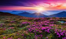 剖析分手：分手后的长篇说说