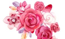 为何拥有快乐心态对生命至关重要：探讨开心的重要性