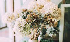 愿儿童时时刻刻充满快乐的语句，祝愿宝宝每一天都能充满幸福的心情