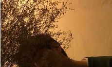 痛彻心扉的描述：只有自己独自忍受的心痛