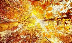 立秋来临，给客户送上最诚挚的问候——短信版！