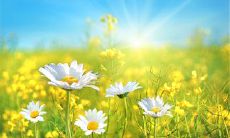 引领人们走向快乐的唯美句子：建议他人积极开心的表达方式