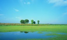 酷热难挡，夏日酷暑让人汗流浃背，烈日炎炎令人迷失在火热中的描述