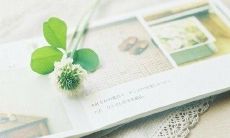 感恩他人帮助自己的言谈举止，这些言谈举止是促进同伴和人际关系和谐发展的重要元素！