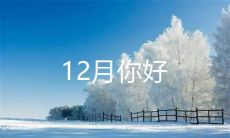 激动人心的十二月：分享你的喜悦与快乐