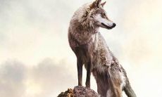 制作你的企业团队口号 - 通过这些简短但令人印象深刻的词语来霸气地展示你的团队意志和价值观！