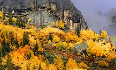 经典唯美句子：赋予落日余晖的柔美色彩