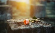 数不尽的母爱之美：探讨无限温馨、关怀与牺牲的华丽句式！