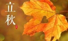 立秋时节发布朋友圈的精美唯美句子大全，用于传达秋天的美丽与浪漫情感！