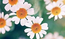 亲情价值不可言说，但这些搞笑句子让你以更轻松的方式探索亲情深处！