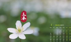 立春佳句：精选适宜落笔的各类表达，送给你春暖花开的美好！