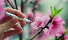 在五月之初相遇的欢喜时光——迎接五月的精彩句子