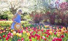 告别四月，迎来五月的新篇章：预祝五月快乐！